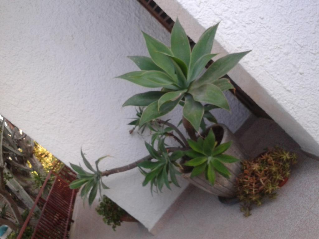 B&B Il Girasole Noto Exterior foto