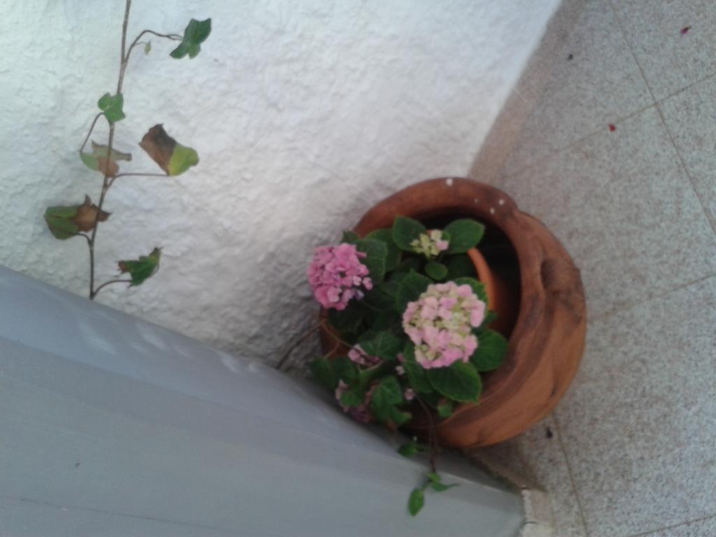 B&B Il Girasole Noto Exterior foto